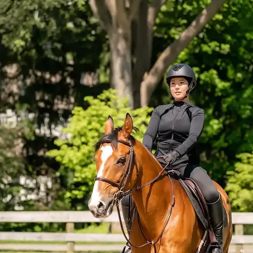 A Daughter, Her Father, and The Common Thread of Horses