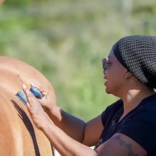 How Horses Help Humans